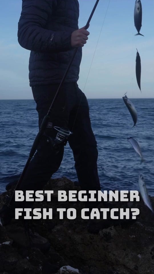 Post 10 by Northern Ireland Fishing on TikTok (video)