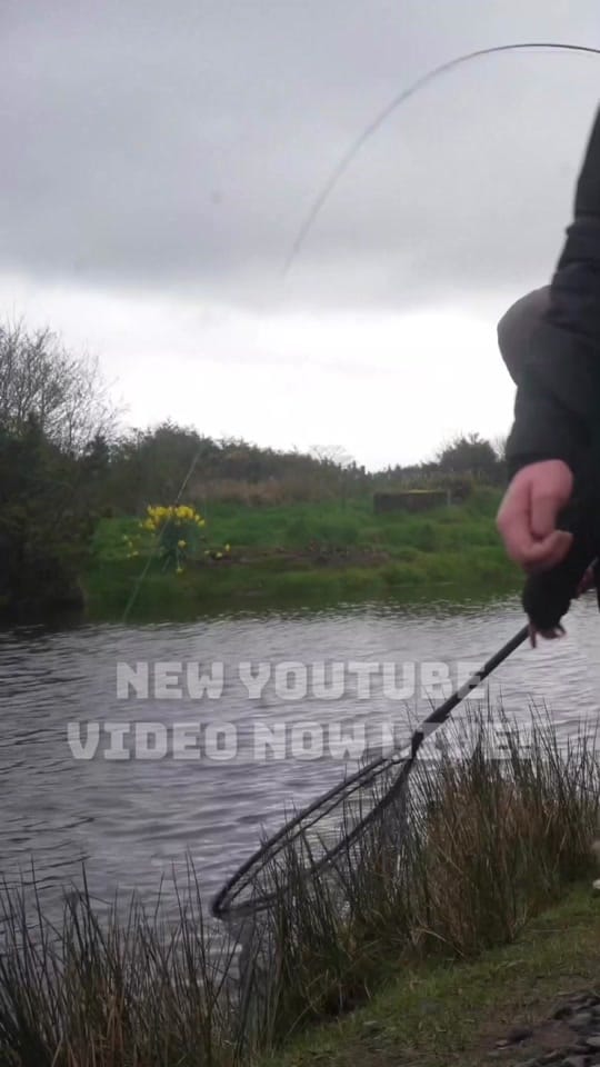 Post 6 by Northern Ireland Fishing on TikTok (video)