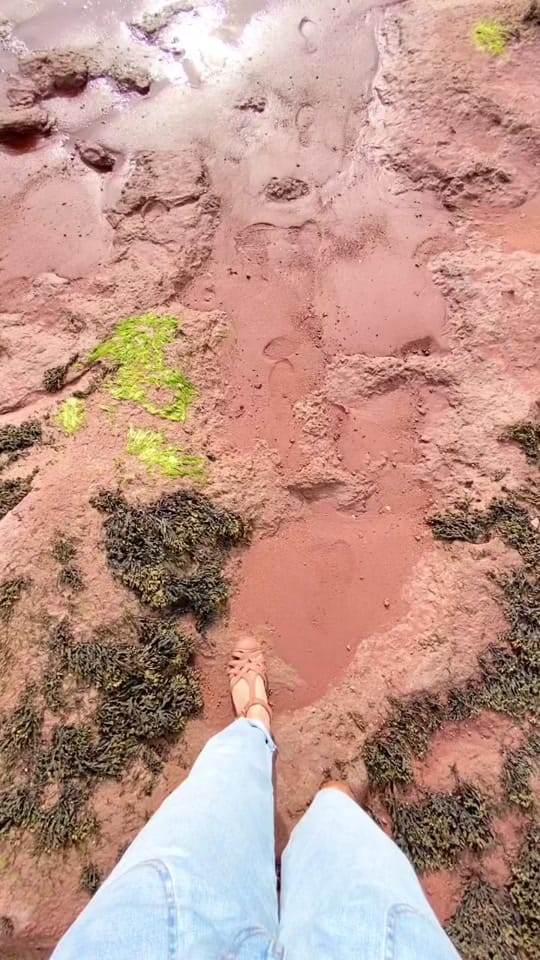 Post 10 by Davey and Sky on TikTok (video)