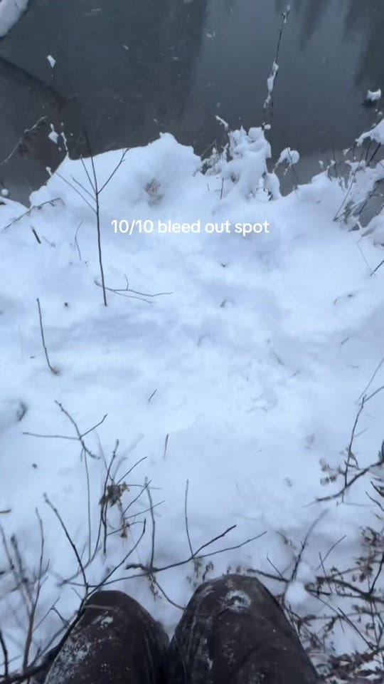 Post 7 by Davey and Sky on TikTok (video)
