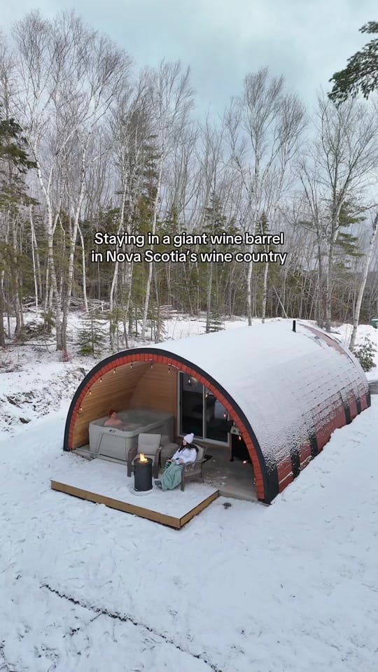 Post 5 by Davey and Sky on TikTok (video)