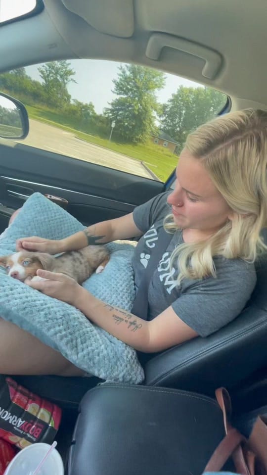 Post 8 by ChelseaBowen on TikTok (video)