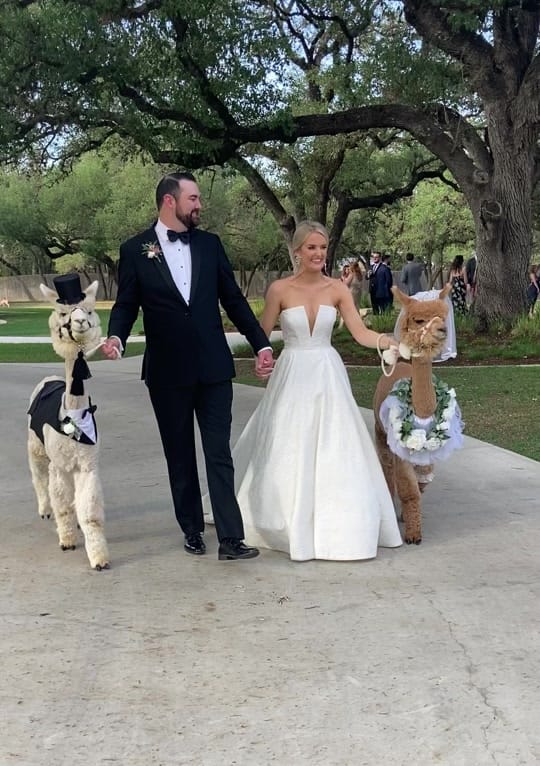 Post 8 by Texas Party Animals on TikTok (video)