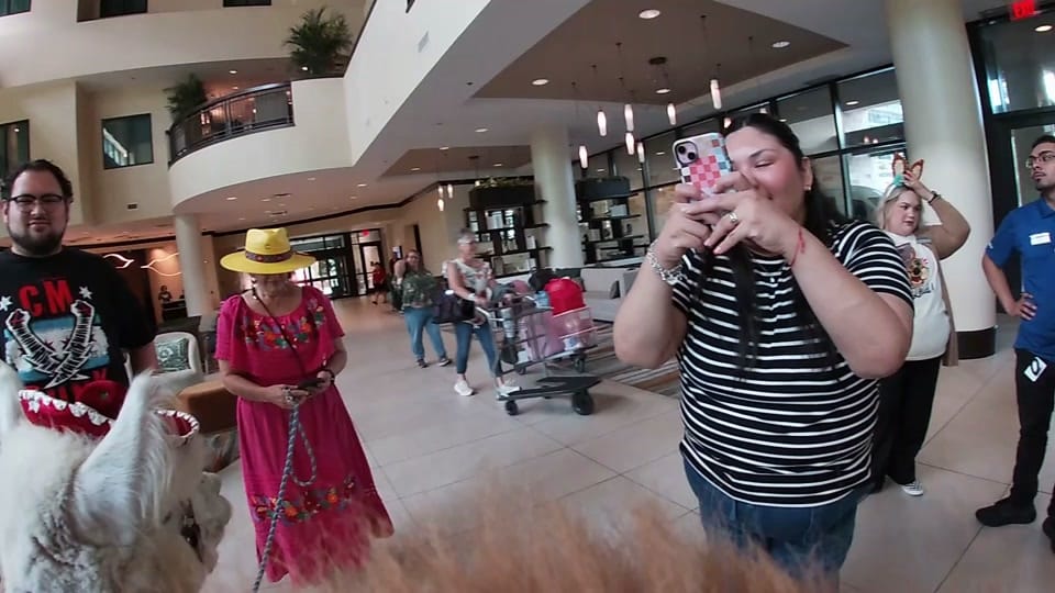 Post 2 by Texas Party Animals on TikTok (video)
