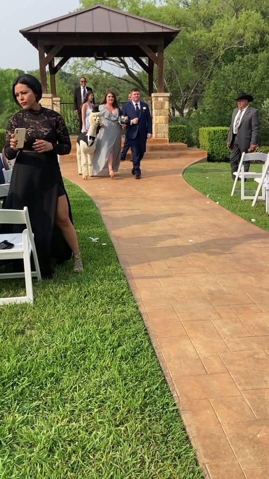 Post 9 by Texas Party Animals on TikTok (video)