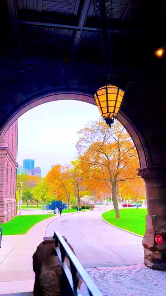 Post 3 by pumpkin_and_loki on TikTok (video)