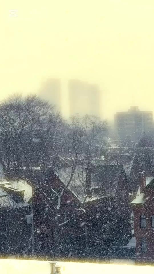 Post 10 by pumpkin_and_loki on TikTok (video)