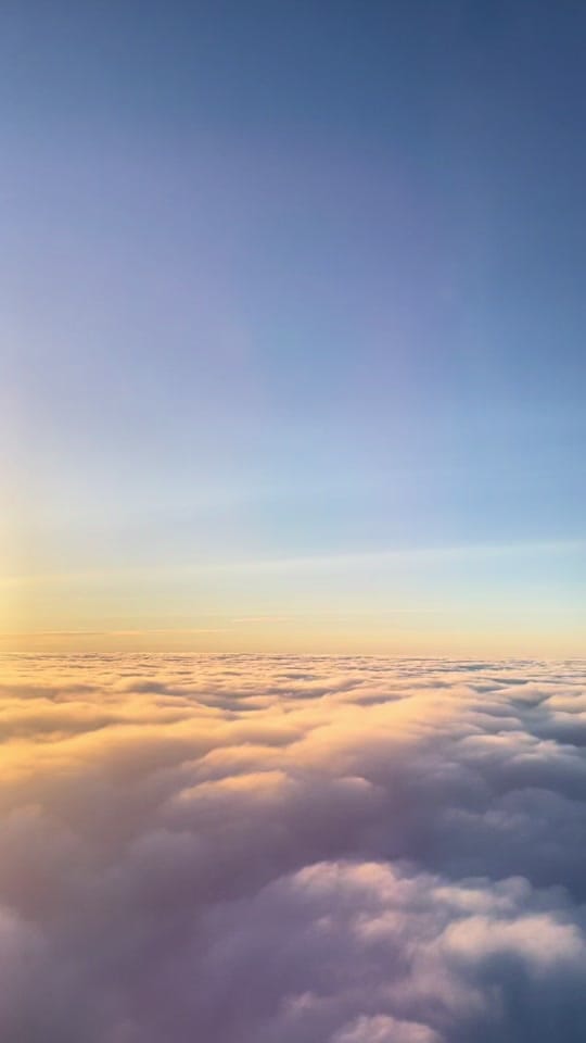 Post 3 by Michael • Toronto on TikTok (video)