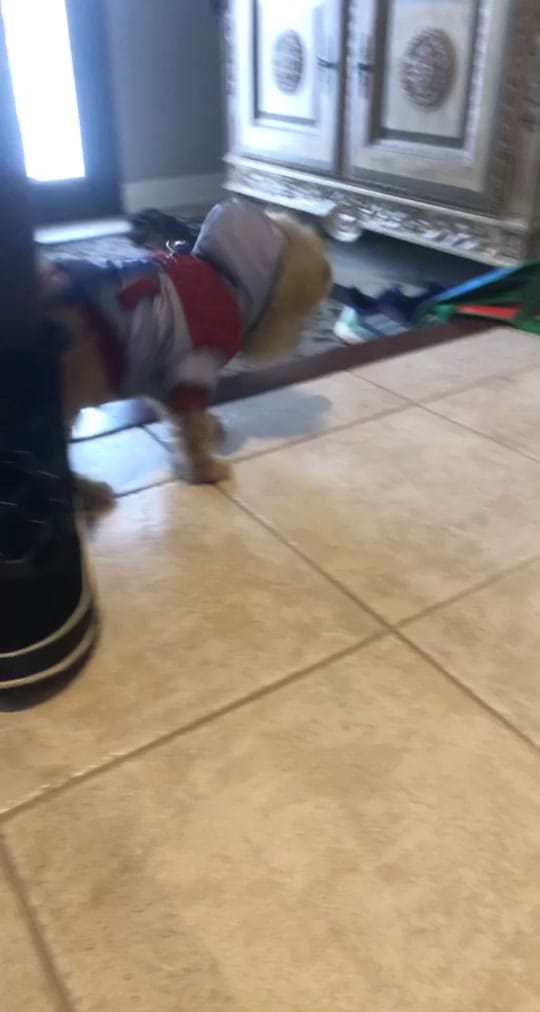 Post 5 by Michael • Toronto on TikTok (video)