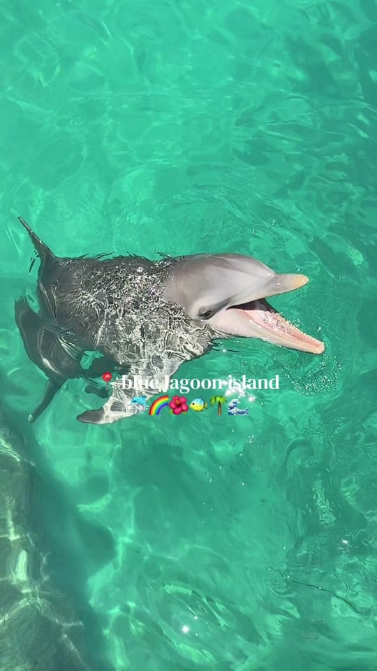 Post 4 by kay ♡ on TikTok (video)