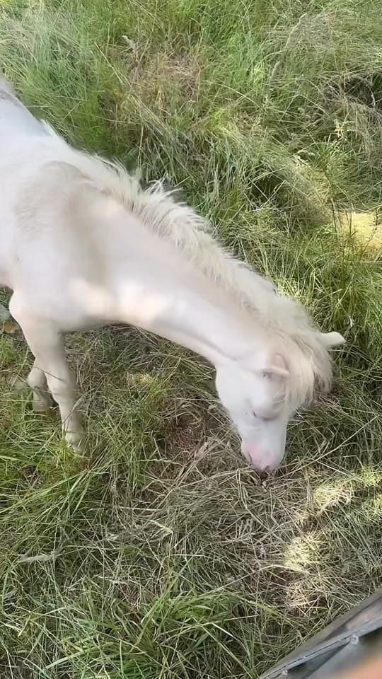 Post 7 by Tommy Penfold on TikTok (video)