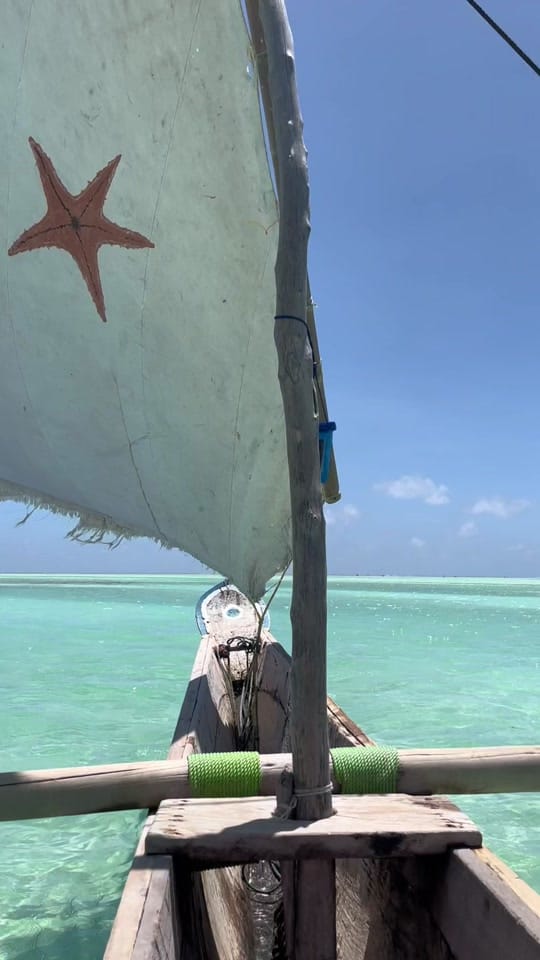 Post 3 by Denise Neves on TikTok (video)