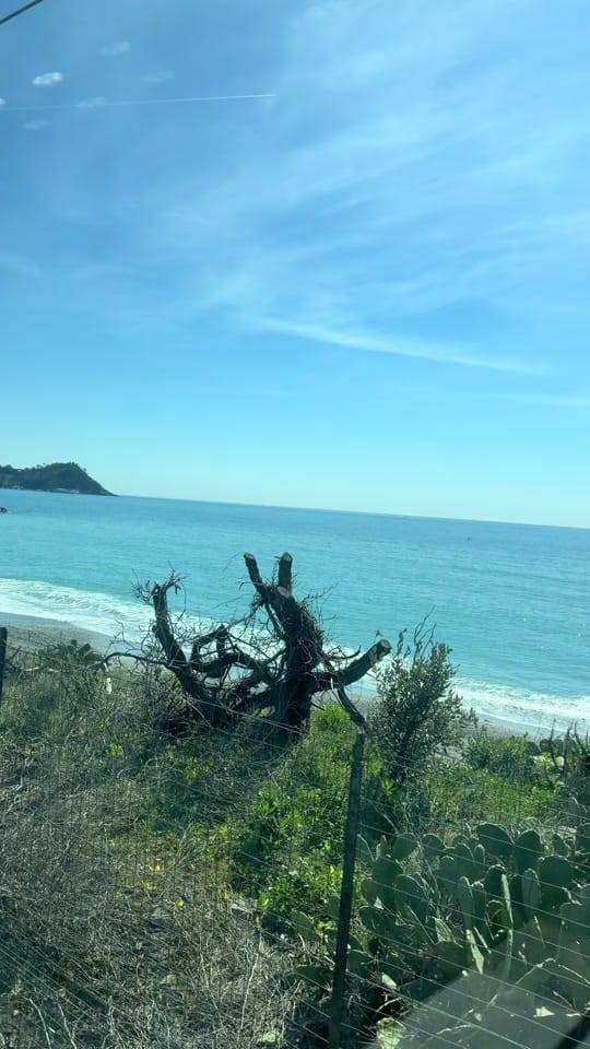 Post 5 by peterworldadventures on TikTok (video)