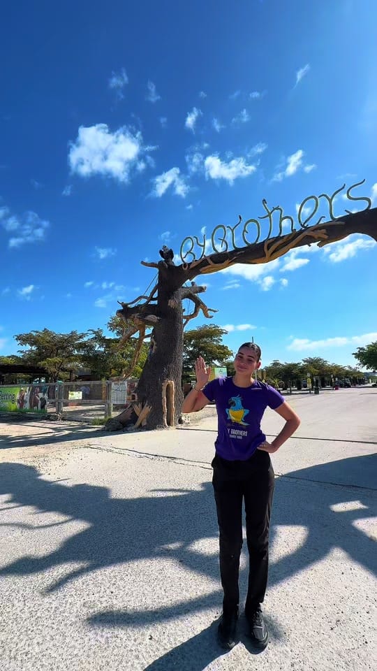 Post 5 by By Brothers Family Park on TikTok (video)