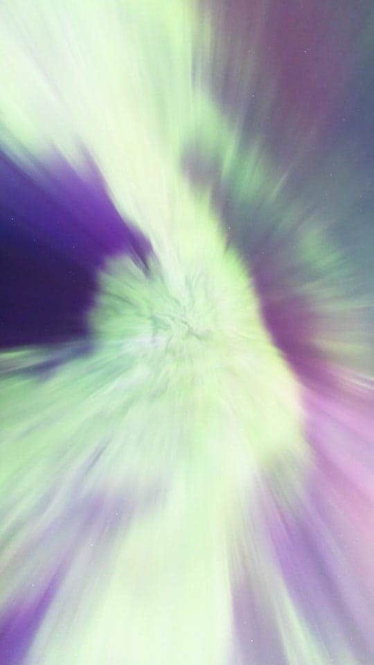 Post 1 by lirongertsman on TikTok (video)