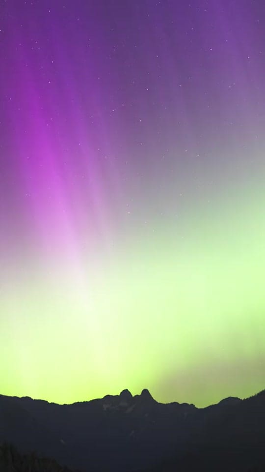 Post 5 by lirongertsman on TikTok (video)