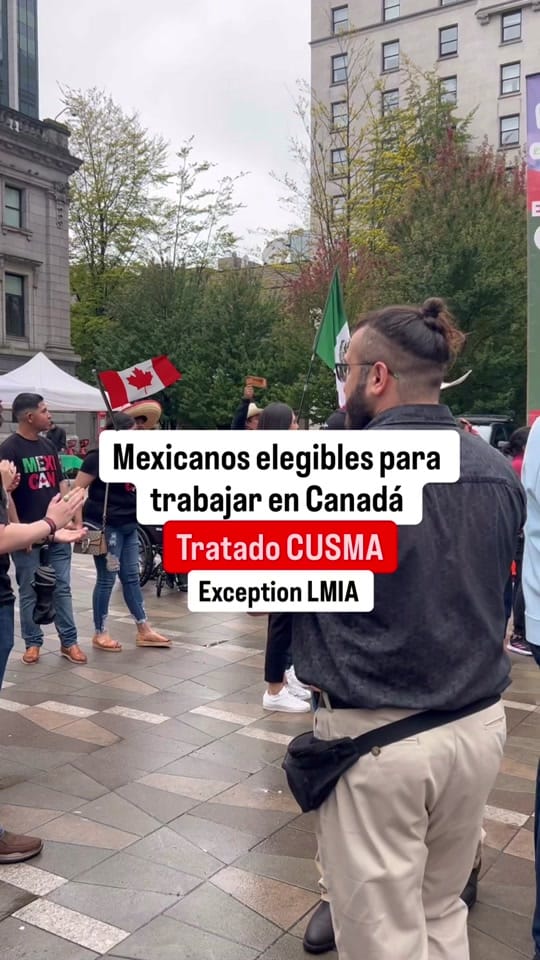 Post 5 by Daniel M. Sarvestani on TikTok (video)
