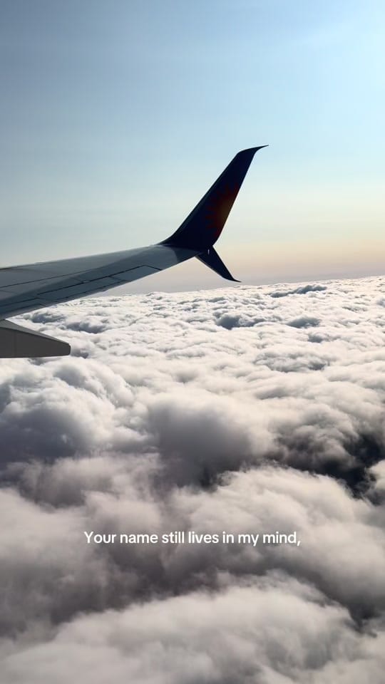 Post 5 by Tetiana V on TikTok (video)