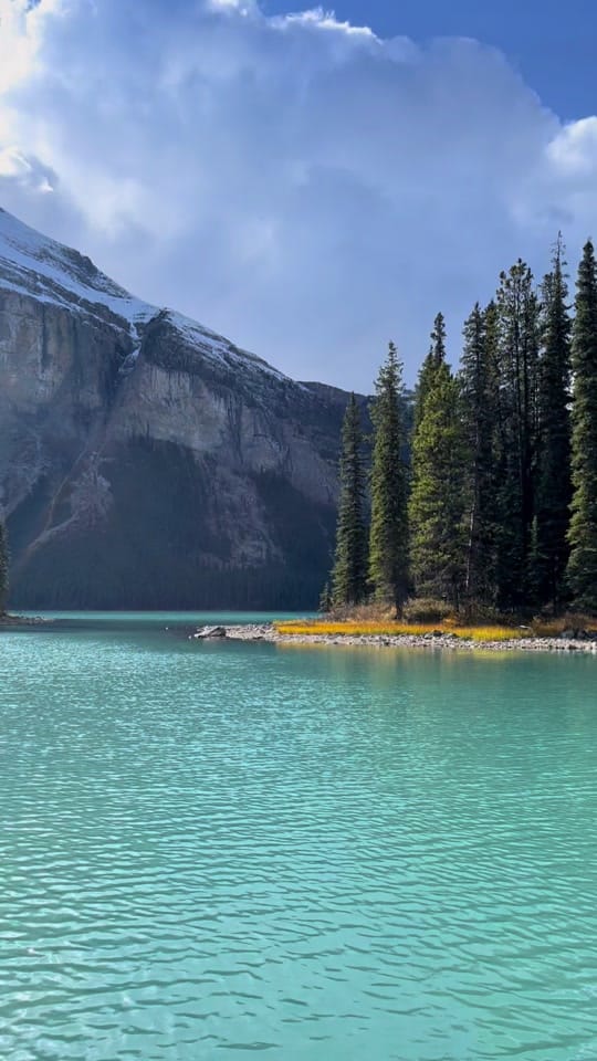 Post 8 by 🇨🇦JasperNtnlPrkPhotographer on TikTok (video)