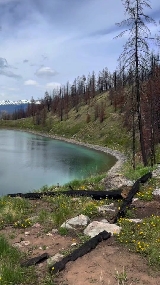 Post 2 by 🇨🇦JasperNtnlPrkPhotographer on TikTok (video)