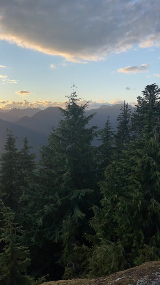 Post 5 by Adam Stevens on TikTok (video)