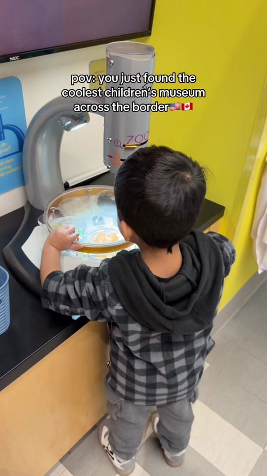 Post 4 by Saba & Sharib on TikTok (video)