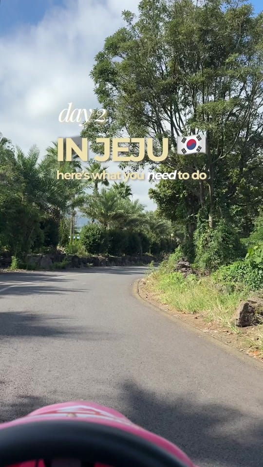 Post 7 by wlovelinda on TikTok (video)