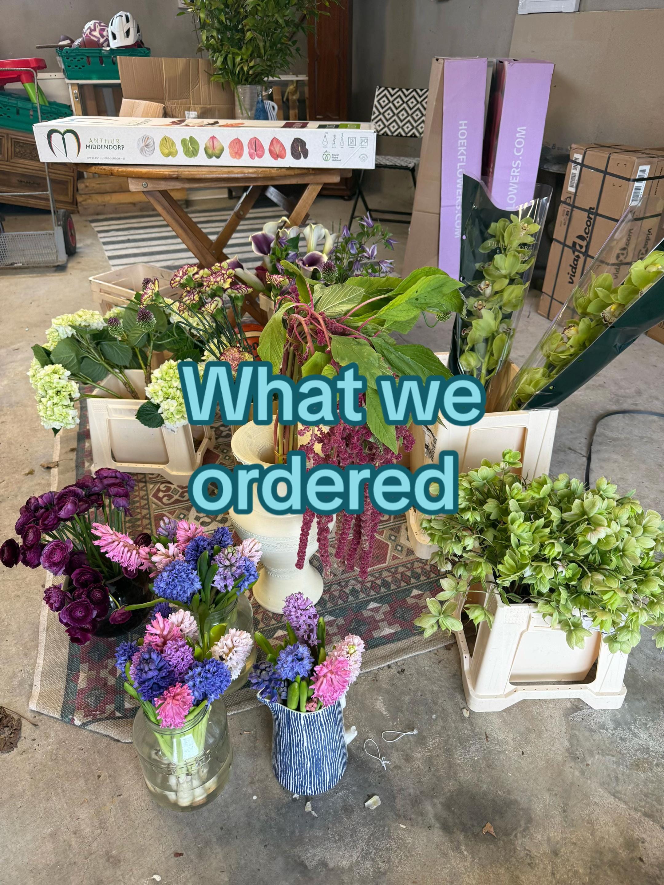 Post 2 by Kerrie Donnelly on TikTok (video)