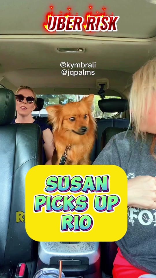 Post 10 by uberrisk on TikTok (video)