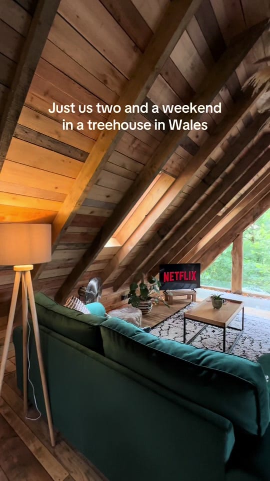 Post 8 by Squirrels Nest on TikTok (video)