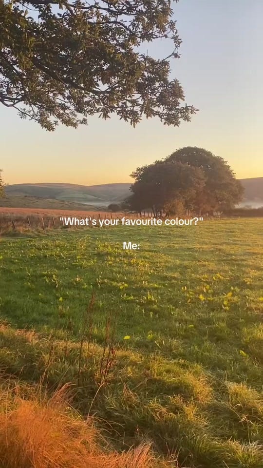 Post 7 by Squirrels Nest on TikTok (video)