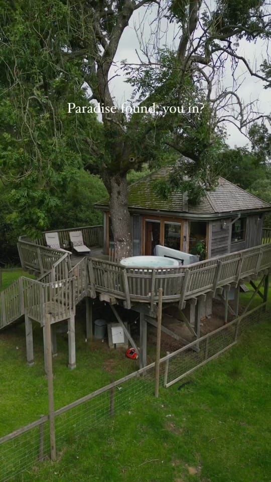 Post 10 by Squirrels Nest on TikTok (video)