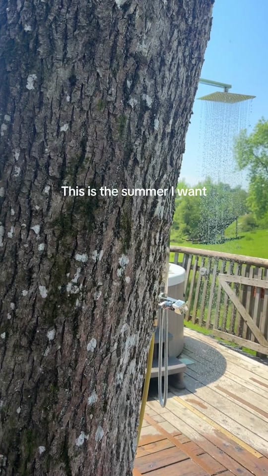 Post 5 by Squirrels Nest on TikTok (video)