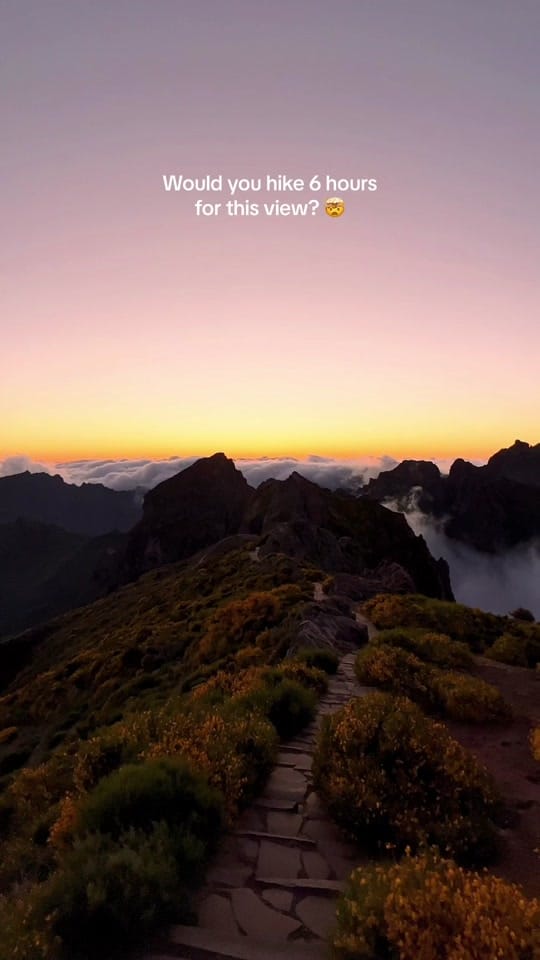 Post 5 by Madi on TikTok (video)