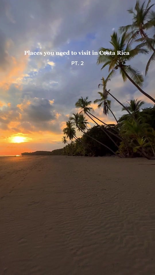 Post 6 by Madi on TikTok (video)