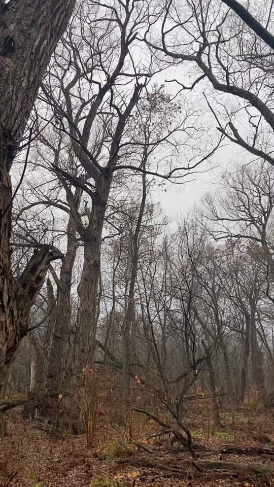 Post 3 by Francois Potvin on TikTok (video)
