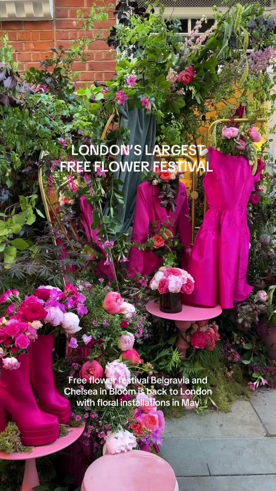 Post 5 by Olga on TikTok (video)