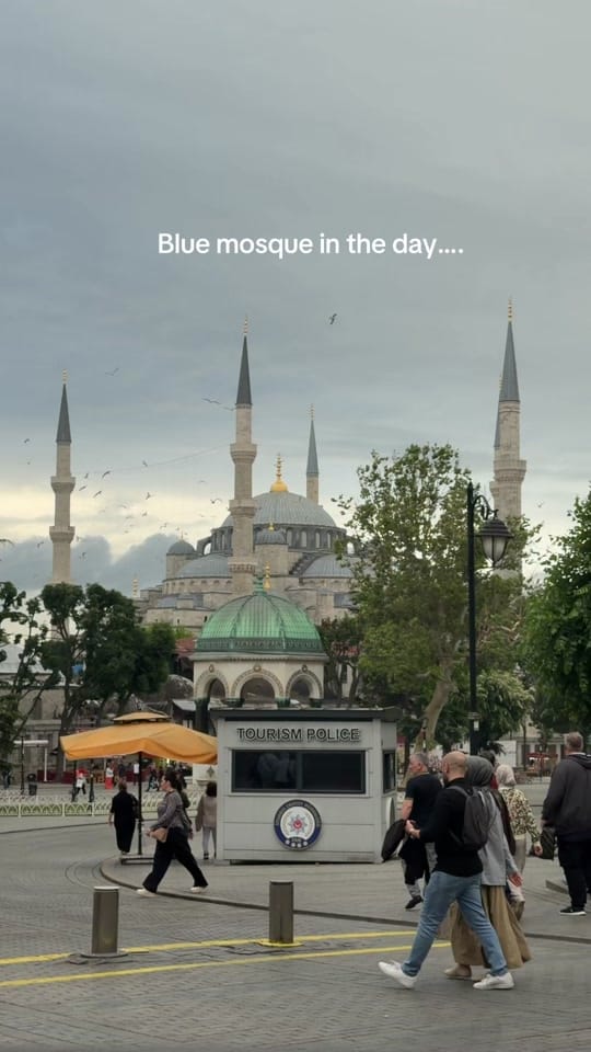 Post 5 by LifeWithH on TikTok (video)