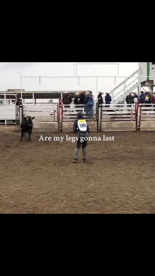 Post 8 by Journey McCormick on TikTok (video)
