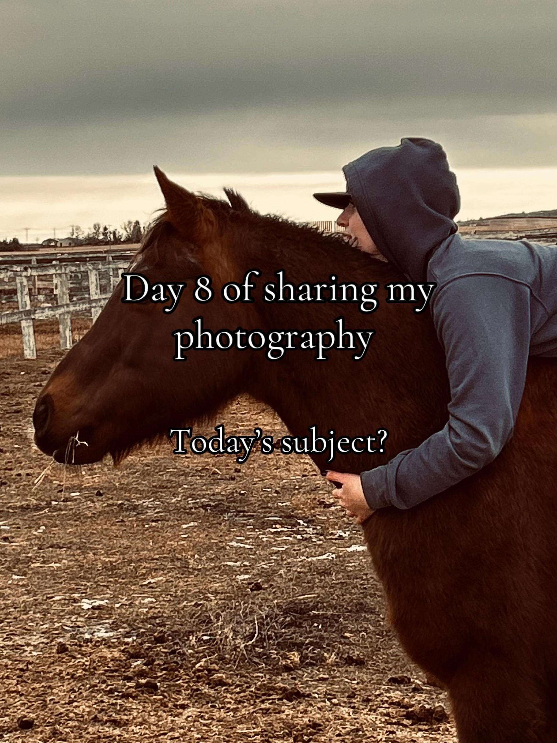 Post 1 by Journey McCormick on TikTok (video)