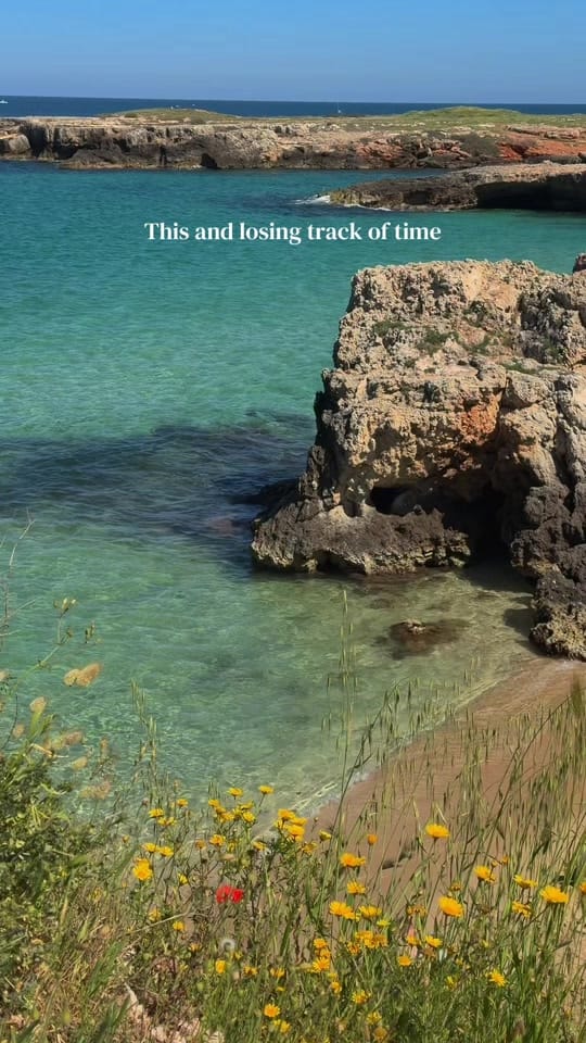 Post 7 by MJ & Max | Travel Creators 🌎 on TikTok (video)