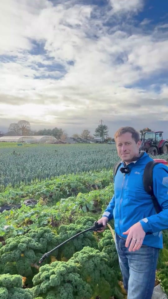 Post 8 by Green Earth Organics on TikTok (video)
