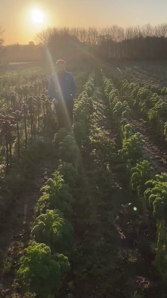 Post 5 by Green Earth Organics on TikTok (video)