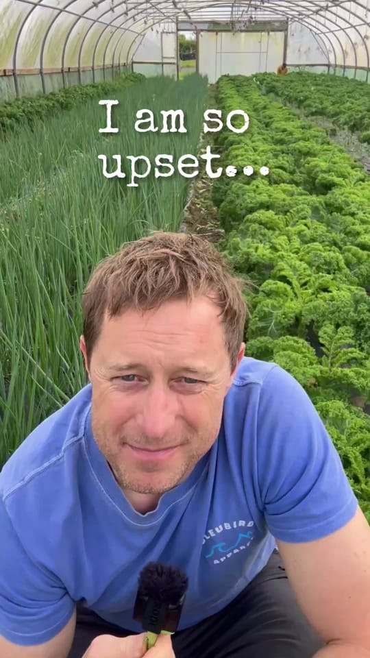 Post 2 by Green Earth Organics on TikTok (video)