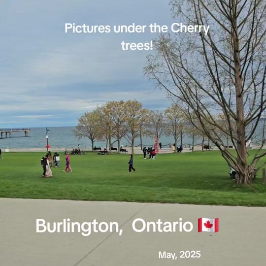 Post 8 by My_interests 🇨🇦 ❤️🇨🇦 on TikTok (video)
