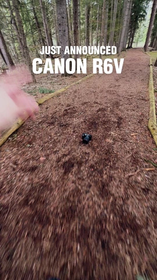 Post 7 by Anthony Gugliotta on TikTok (video)