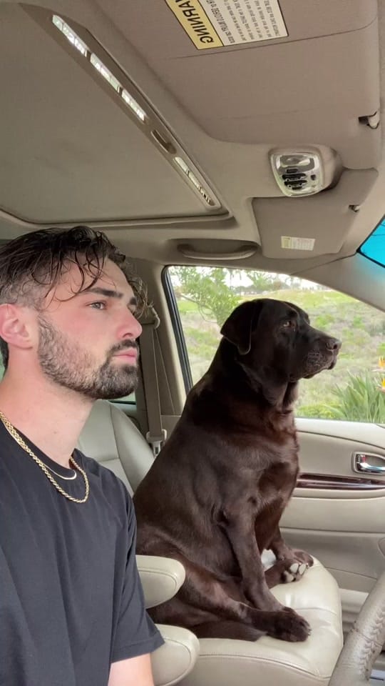Post 6 by Nick Luisi on TikTok (video)