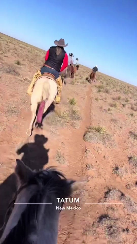 Post 5 by lukemaxwell19 on TikTok (video)