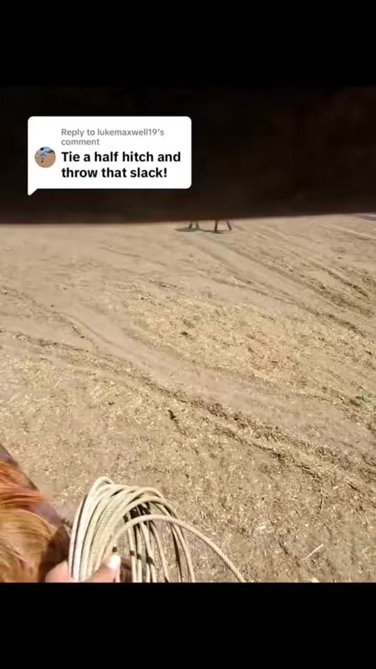 Post 2 by lukemaxwell19 on TikTok (video)