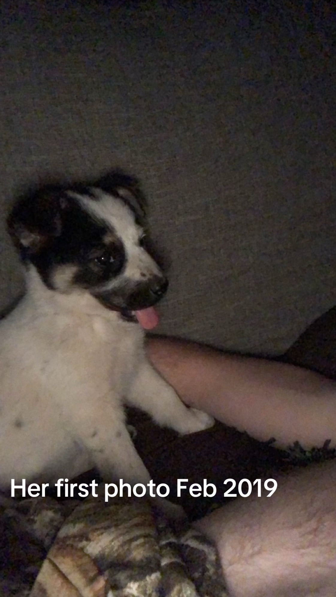 Post 9 by lukemaxwell19 on TikTok (video)